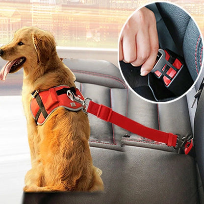 SafePaw™ - Autogordel voor Honden