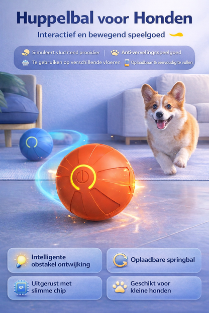 BouncyBuddy™ - Slimme honden bal