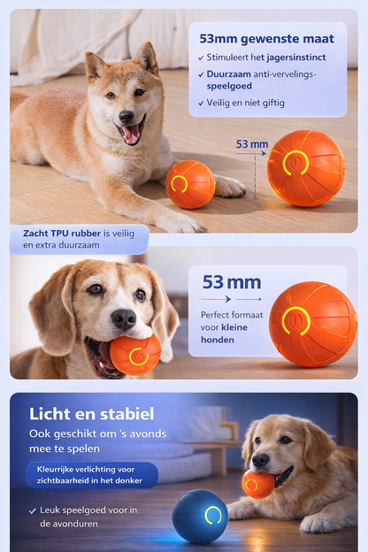 BouncyBuddy™ - Slimme honden bal